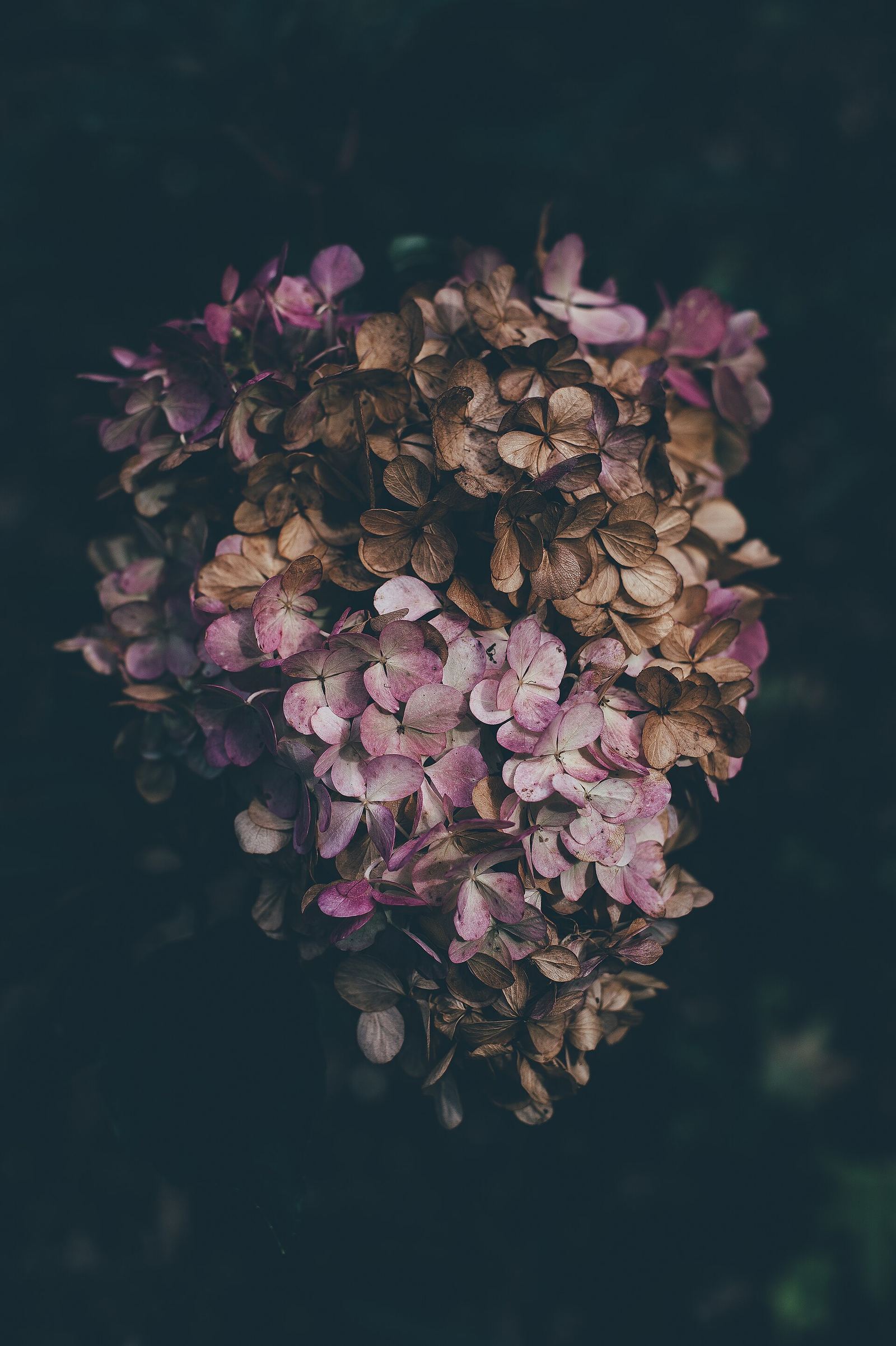 Fleurs séchées et stabilisées pour un mariage